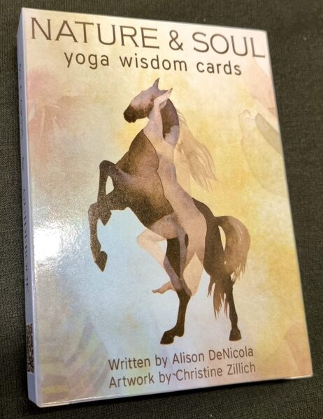 Metaforiskās asociativās kārtis NATURE & SOUL- 40 kārtis