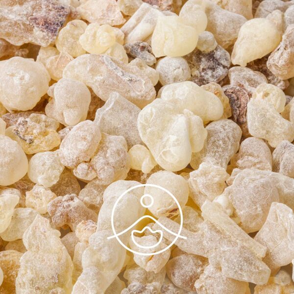 Kopaiba (Copaifera officinalis) terapeitiskās klases ēteriskā eļļa 15g