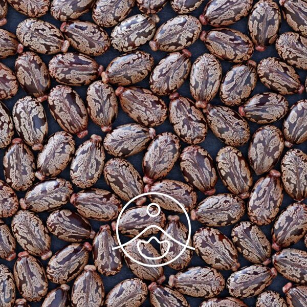 Rīcineļļa bāzes organiskā eļļa (Ricinus communis) 100ml