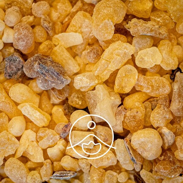 Vīraks (Boswellia carterii)terapeitiskās klases ēteriskā eļļa 5g un 15 g